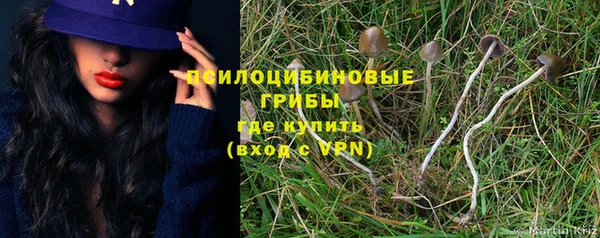 бошки Армянск