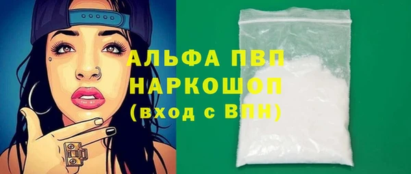 стафф Арсеньев