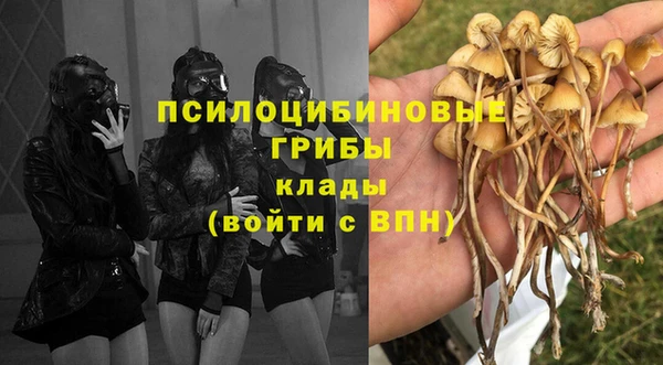 стафф Арсеньев