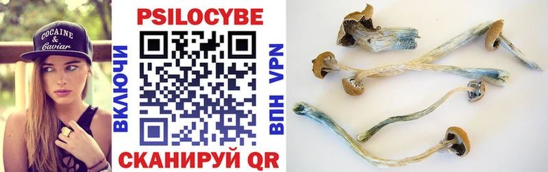 Псилоцибиновые грибы Cubensis  Струнино 
