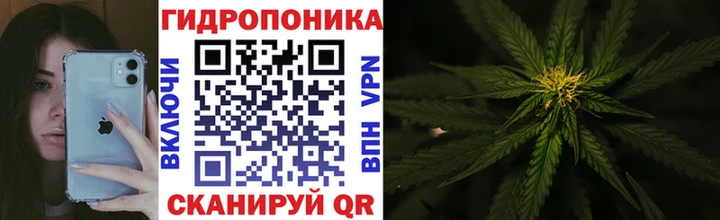 Бошки марихуана сатива Струнино